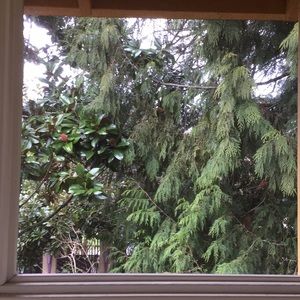 Meet your Posher, Vincent